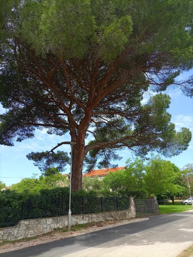 Apartments Ingrid Novigrad (Istria) Exterior foto