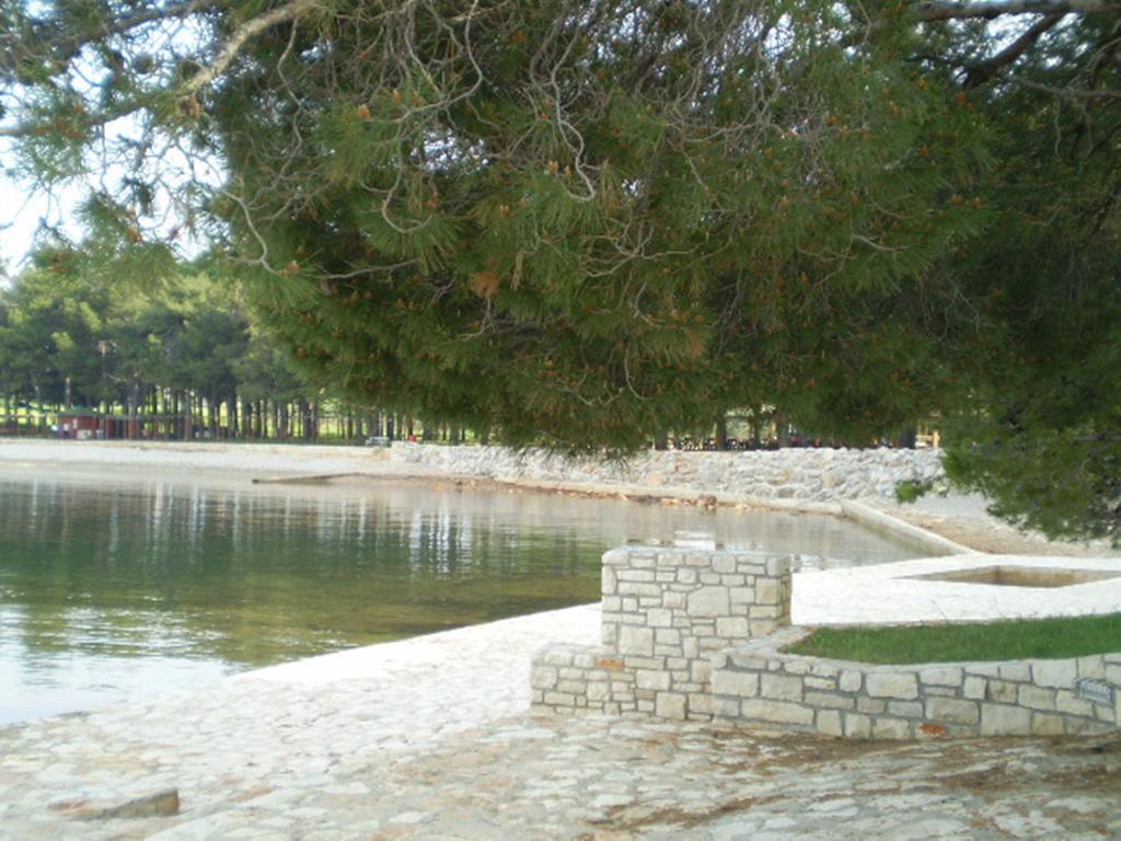 Apartments Ingrid Novigrad (Istria) Exterior foto