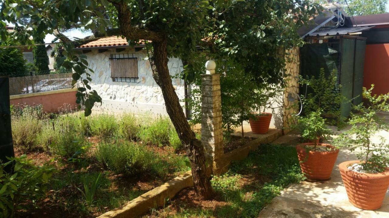 Apartments Ingrid Novigrad (Istria) Exterior foto
