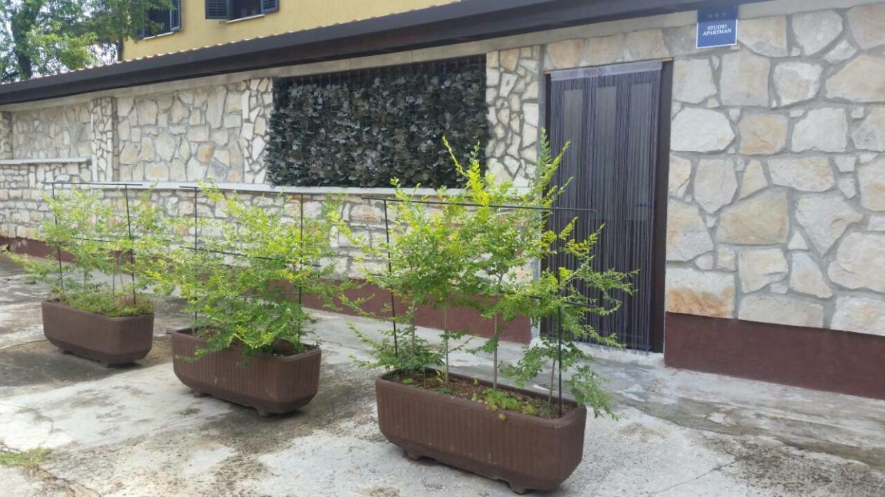 Apartments Ingrid Novigrad (Istria) Exterior foto